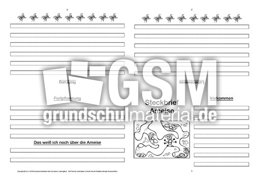 Ameise-Faltbuch-vierseitig-2.pdf